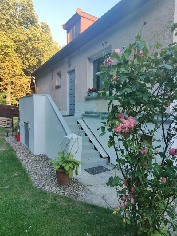 Przytulny Pokoj W Zacisznej Okolicy Z Lazienka Wspolna Dla Dwoch Pokoi Sopot Extérieur photo
